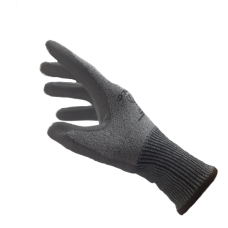 W+R DYNASTAR C ELDİVEN